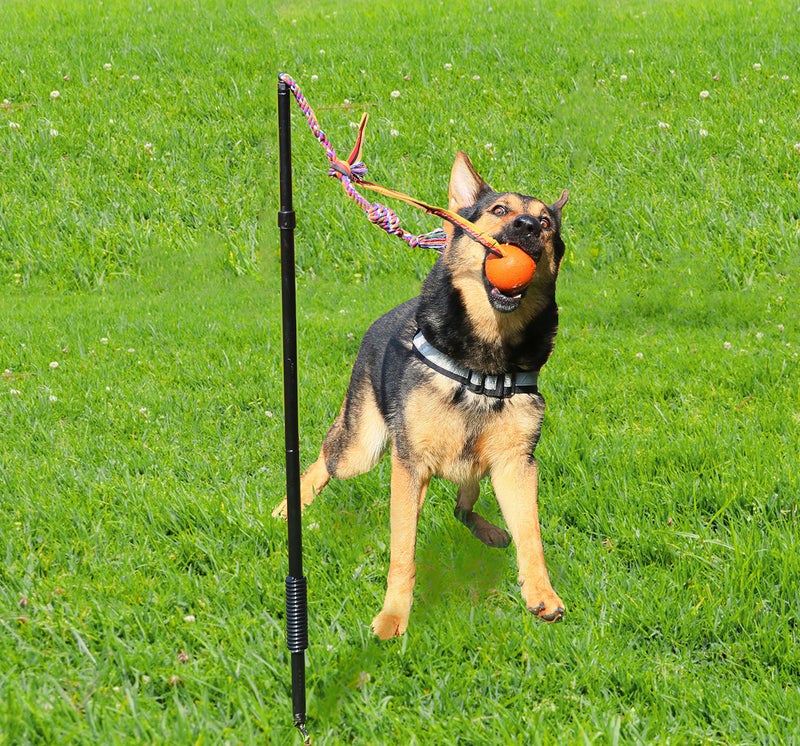 Highland Farms Select Dog Retractable Interactive Training Tug Toy - Pet Obedience Training Tug - Stable Exercise Metal Pole & Spring Rod with Replaceable Chew Rope for Small/Medium Dogs - Image 2